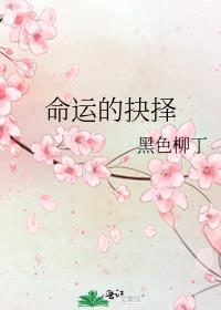 命运的抉择